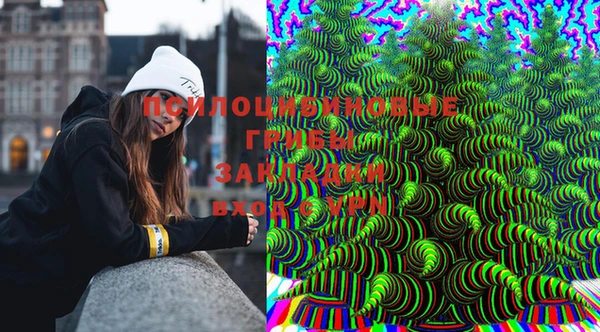 бошки Новодвинск