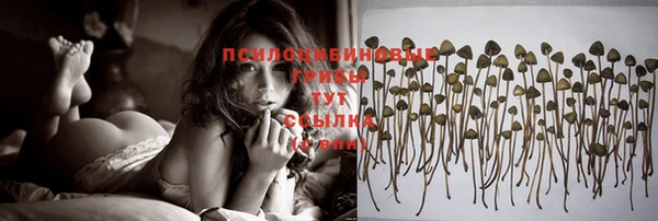 герыч Няндома