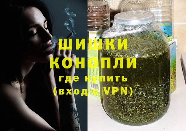бошки Новодвинск