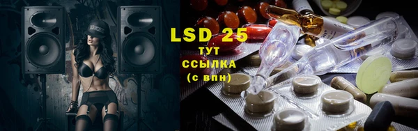 бошки Новодвинск