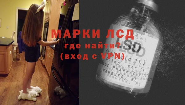 бошки Новодвинск