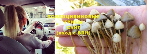трава Нягань