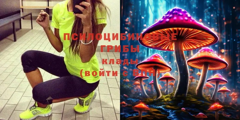 Псилоцибиновые грибы Magic Shrooms  где купить наркоту  Заполярный 