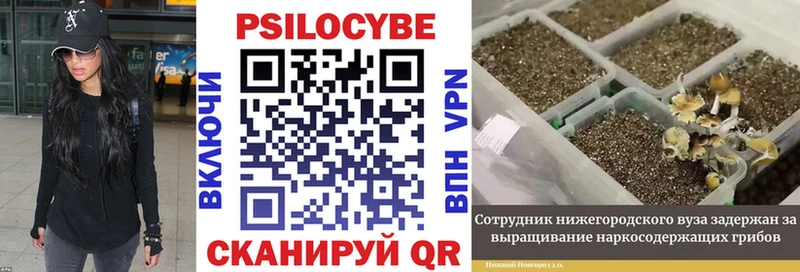 Галлюциногенные грибы Magic Shrooms  Заполярный 